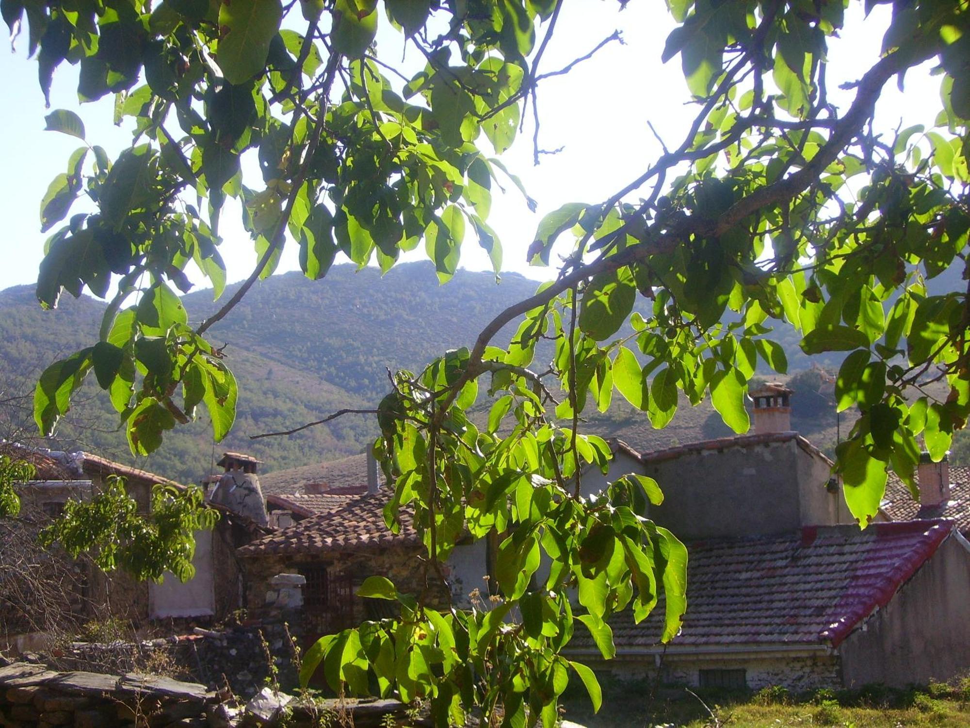 Maison d'hôtes Madre Terra à La Puebla de la Sierra Extérieur photo
